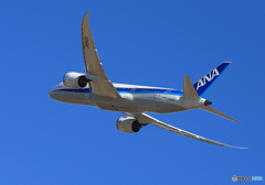 「青が大好き」 ANA 787-8 JA840A 離陸