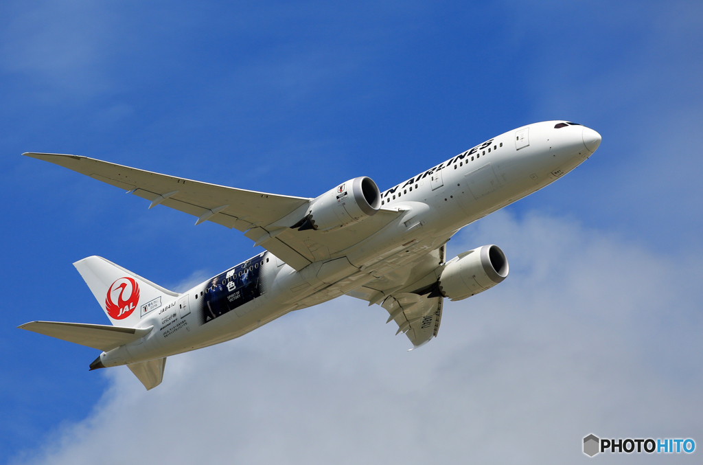 「真青の空」 JAL 787-8 JA841J 出発