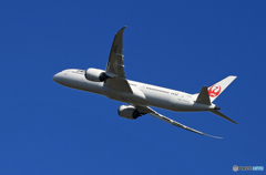 「蒼空」JAL 787-9 JA856J 出発です