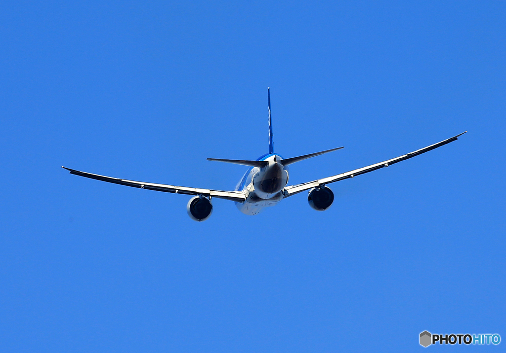 「SKY」 ANA 翼が綺麗な７８７ 飛行