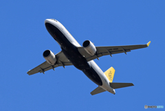 「青色が好き」 ロイヤルブルネイ王国A320-251N 飛んだ