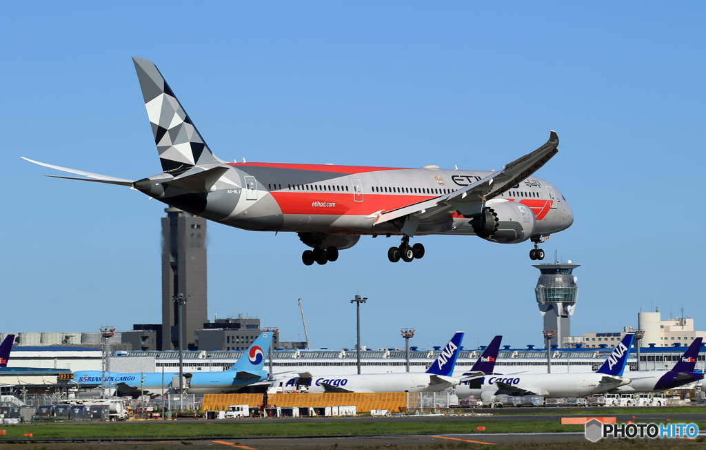 「ぶるー」ETIHAD 787-9 F-１カラー A6-BLV Landing 