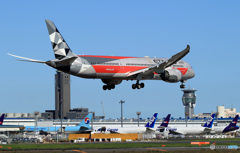 「ぶるー」ETIHAD 787-9 F-１カラー A6-BLV Landing 