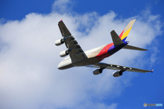  「青が好き」 Asiana A380-841 HL-7640 Takeoff 