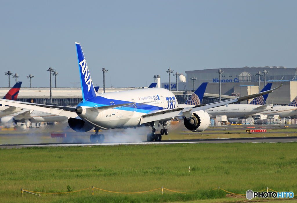 「空色」 ANA 787-8 JA823A到着しました