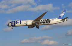 「青い空」が一番☀STAR WARS 787-8 到着です