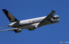 「青い空」が一番 Singapore A380-841 飛ぶ