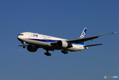 「Blue」ANA 777-381 JA786A  着陸します