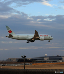 「青い日」 Air Canada 787-8 C-GHPX Landing
