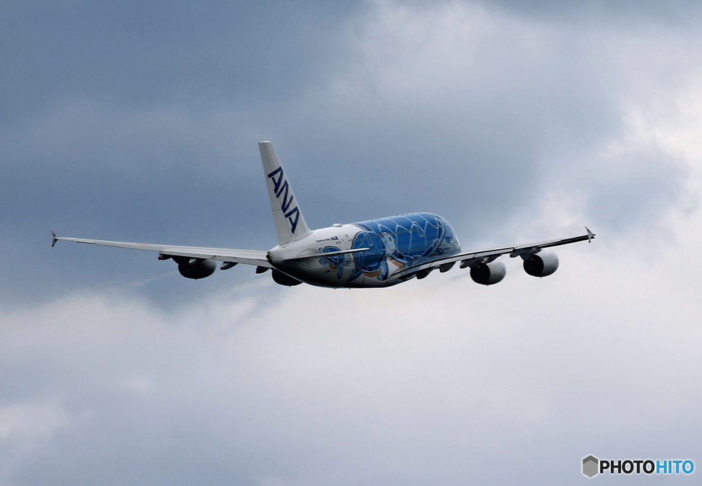 「あおいそら」A380-841 JA381A Flying Honu  離陸