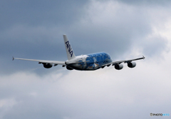 「あおいそら」A380-841 JA381A Flying Honu  離陸