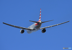 「群青」 American 777-200 N790AN 飛行