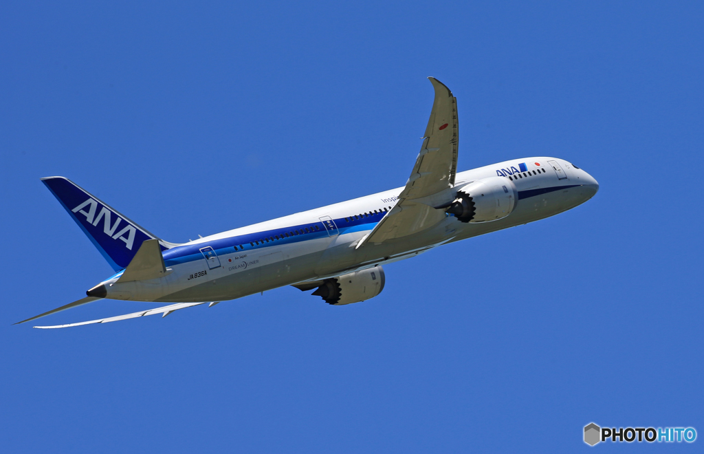「SKY」ANA 787-8  JA836A Takeoff
