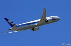 「SKY」ANA 787-8  JA836A Takeoff
