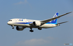 「青い空」が一番 ANA 787-8 JA822A 到着です