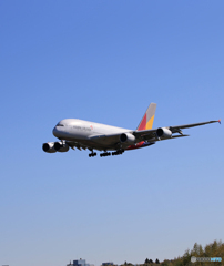 「良い空～」ASIANA A380-841 HL7626 着陸します