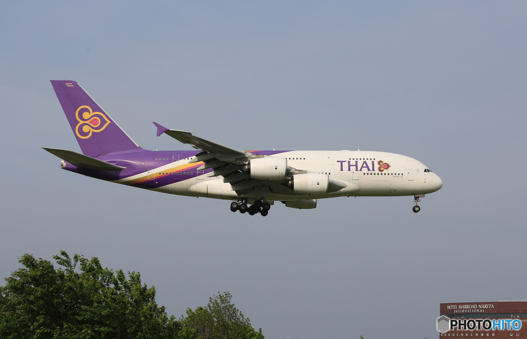 「青が好き」 Thai A380-841 HS-TUC 到着