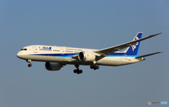 「あおぞら」 ANA 787-9 JA885A 着陸します