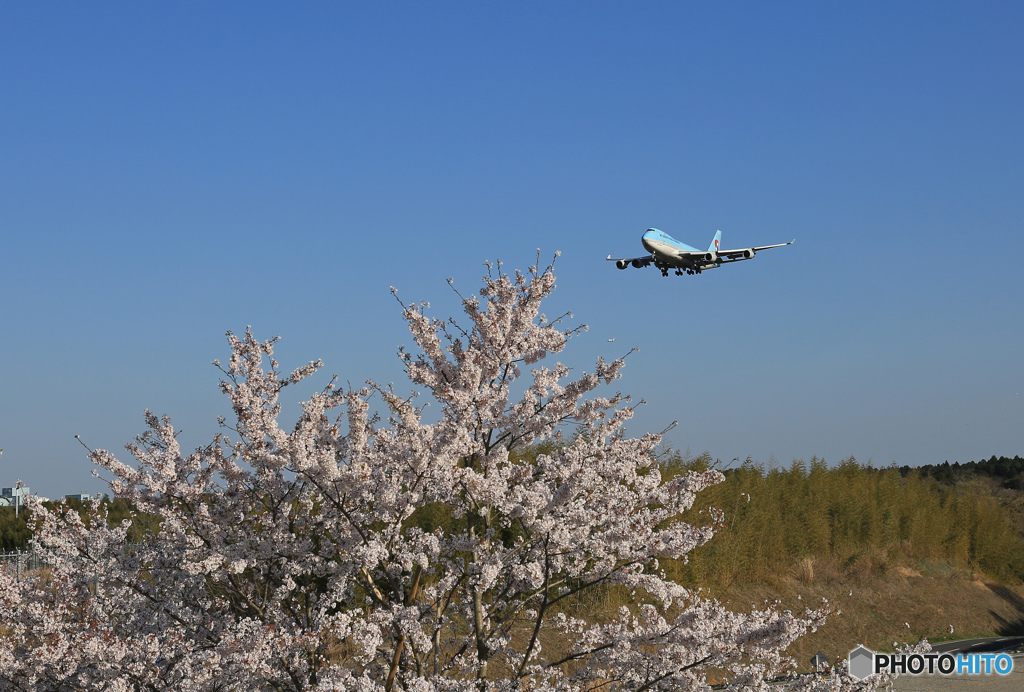 「良い天気」 大韓航空の水掛け✈ジャンボ姫✈来たる⁉