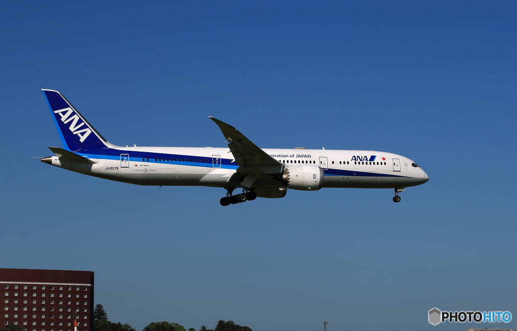 「SKY」ANA 787-9 JA837A  Landing 