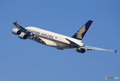 「真青の空」Singapore A380-841 9V-SKM 出発