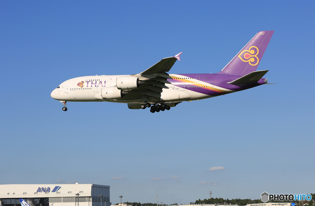 「青色が好き」 Thai A380-841 HS-TUD