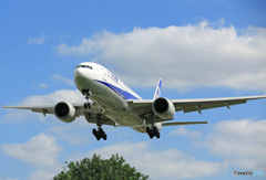 「SKY」 ANA B777-281 JA702A そらー
