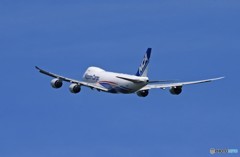 「青色が好き」NCA 747-8KZF JA11KZ 出発
