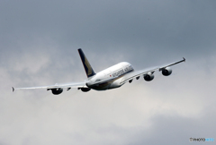 「Blue」 Singapore A380-841 9V-SKP  出発