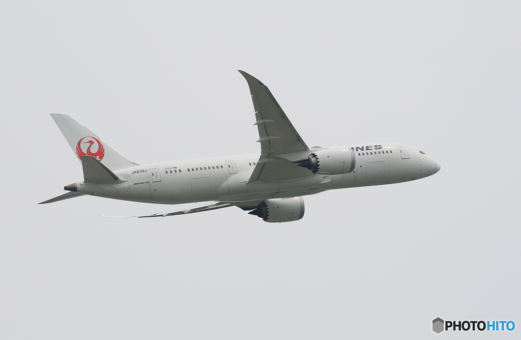「くもり」 JAL 787-8 JA839A 飛ぶ