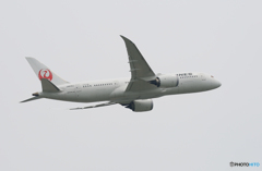 「くもり」 JAL 787-8 JA839A 飛ぶ
