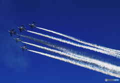 「青空」☮ 航空祭を観て来たぁ〜 ✈