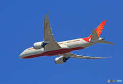 「青が大好き」 Air India 787-8 VT-NAC 出発です