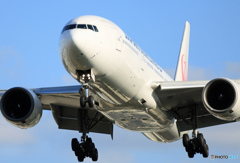 ☮伊丹空港に行って来ました・☮ ピ・カ・ピ・カ