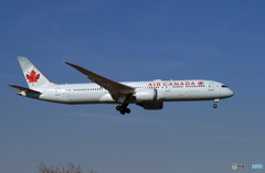 「青い日」 Air Canada 787-9 C-FGEO Landing