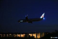 「真青の空」 シルエット Japan Airlines 787