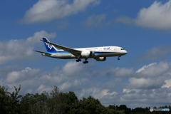 「ぶるー」 ANA 787-8 JA828A  Landing 