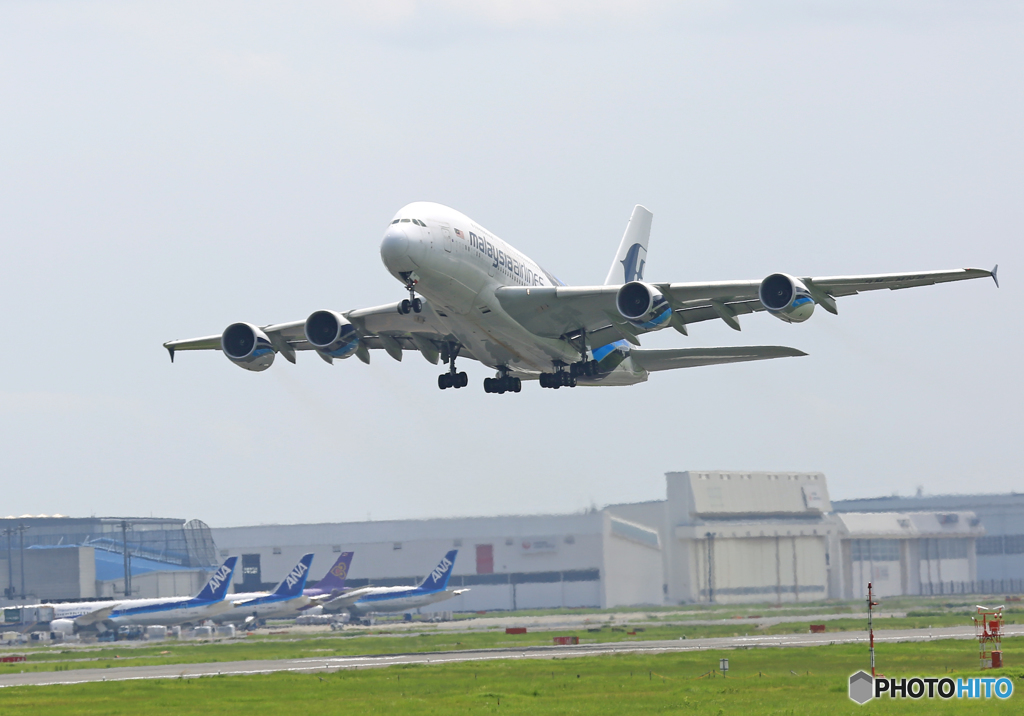 「良い天気」 Malaysia A380-841 9M-MND Takeoff 