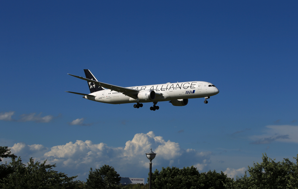 「青色」ANA スタアラ787-9 JA899A Landing 