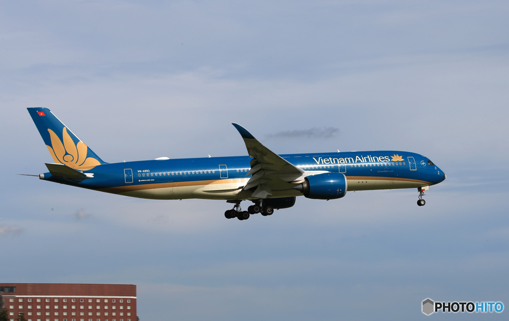 「青が好き」Vietnam A350-941 VN-A893   Landing