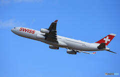 「あおぞら」Swiss A340-313 HB-JMA Takeoff 
