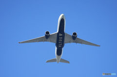 「すかい」デルタ DELTA エアバス   A330