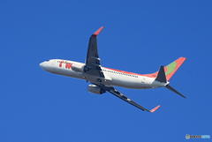 「ブルー」 t'way 737 HL8024 出発