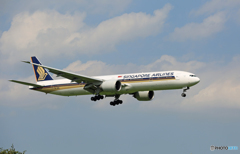 「そらー」 Singapore 777-300 9V-SWL Landing
