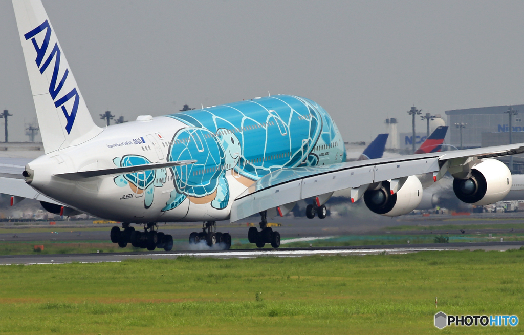 「青が好き」Flying Honu A380翼ベイパー Landing