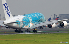 「青が好き」Flying Honu A380翼ベイパー Landing