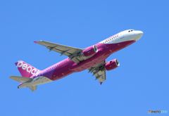 「青空」peach A320-214 JA822P Takeoff