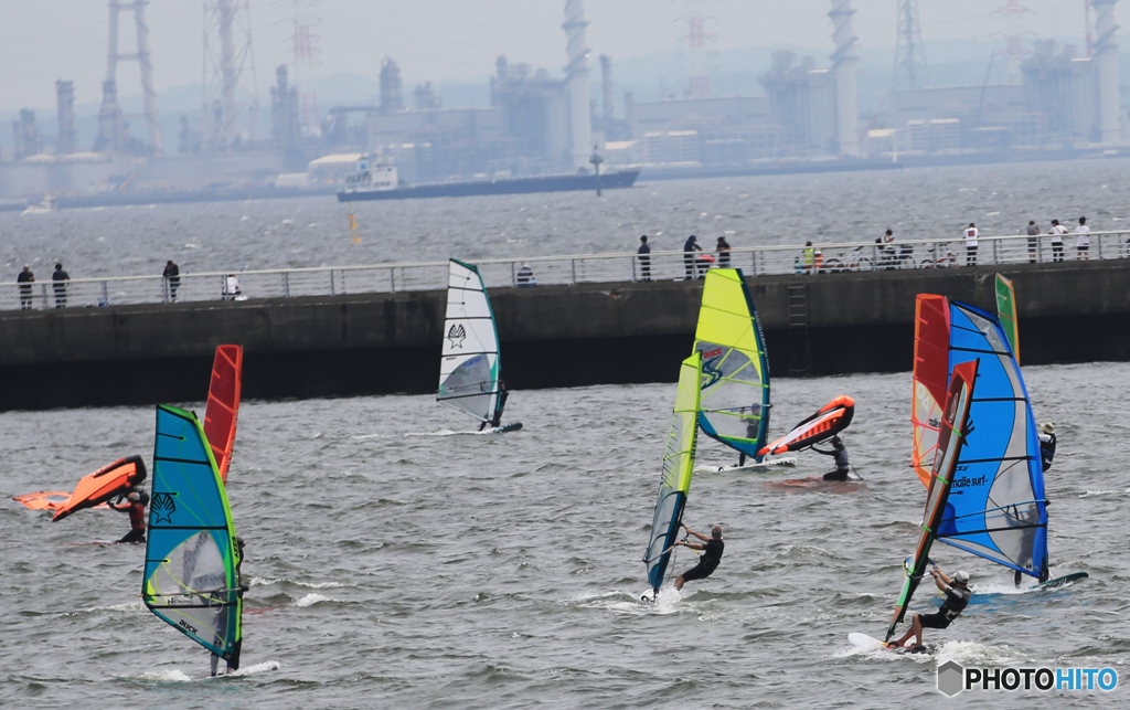 「東京湾」海のフラワー
