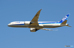 「晴れ」 ANA 787-9 JA875A 飛び立ちです