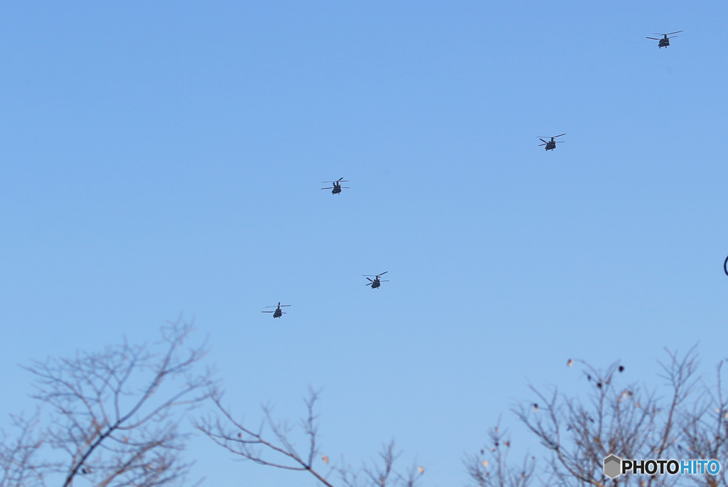 「空色」✈ 鳥の編隊飛行です！☮